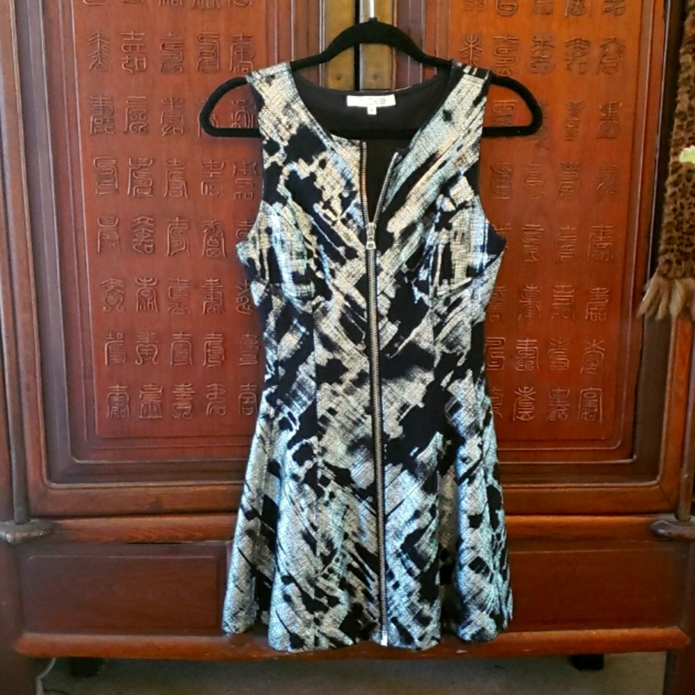 Alexis Black and Metallic Silver Sleeveless, Front Zipper Mini Dress Small S